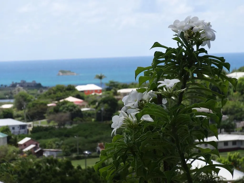 Apartment Holiday Home Belvedere Dickenson Bay
